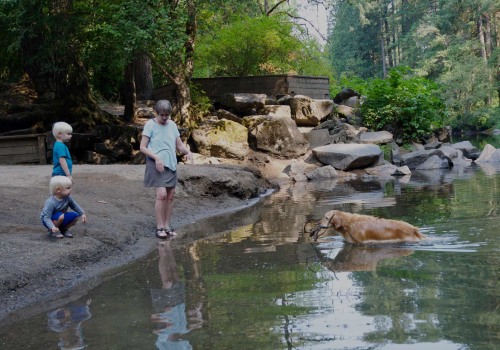 Exploring the Diverse Communities in Clark County, WA